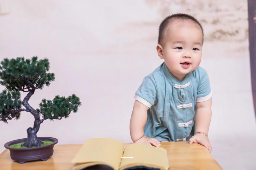西双版纳深圳助孕公司大盘点：揭秘最大几家，过来人经验分享